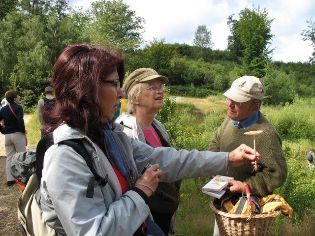 2008 07  Myco porte Baudet 05